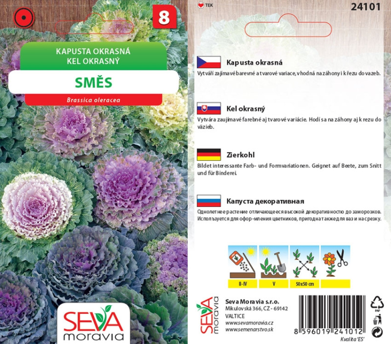 Semínka Kapusta okrasná směs barev (Brassica oleracea)