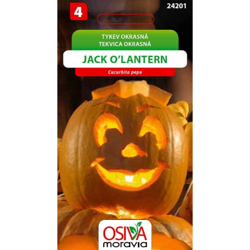 Semínka Tykev okrasná Jack O'Lantern (Cucurbita pepo)