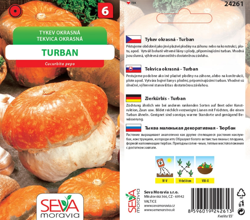 Semínka Tykev okrasná Turban (Cucurbita pepo)