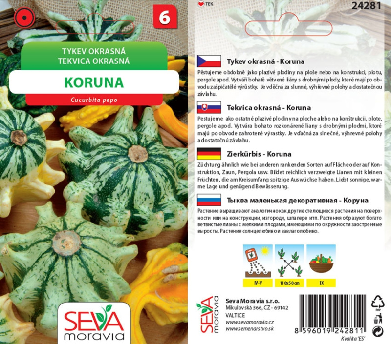 Semínka Tykev okrasná Koruna (Cucurbita pepo)