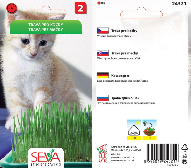 Semínka Tráva pro kočky