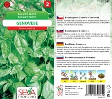 Semínka Bazalka pravá Genovese (Ocimum basilicum)