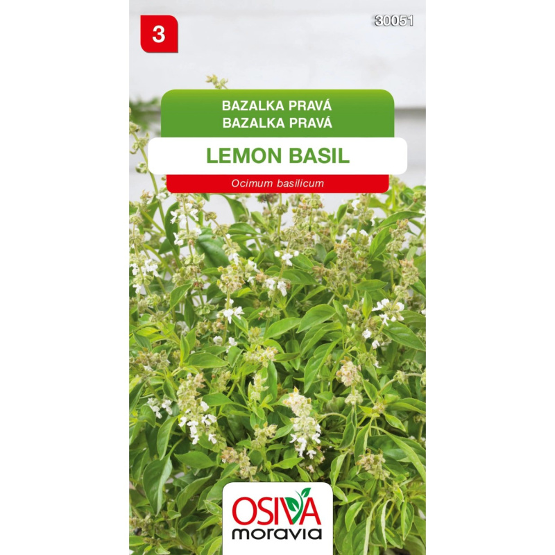 Semínka Bazalka pravá Lemon Basil (Ocimum basilicum)