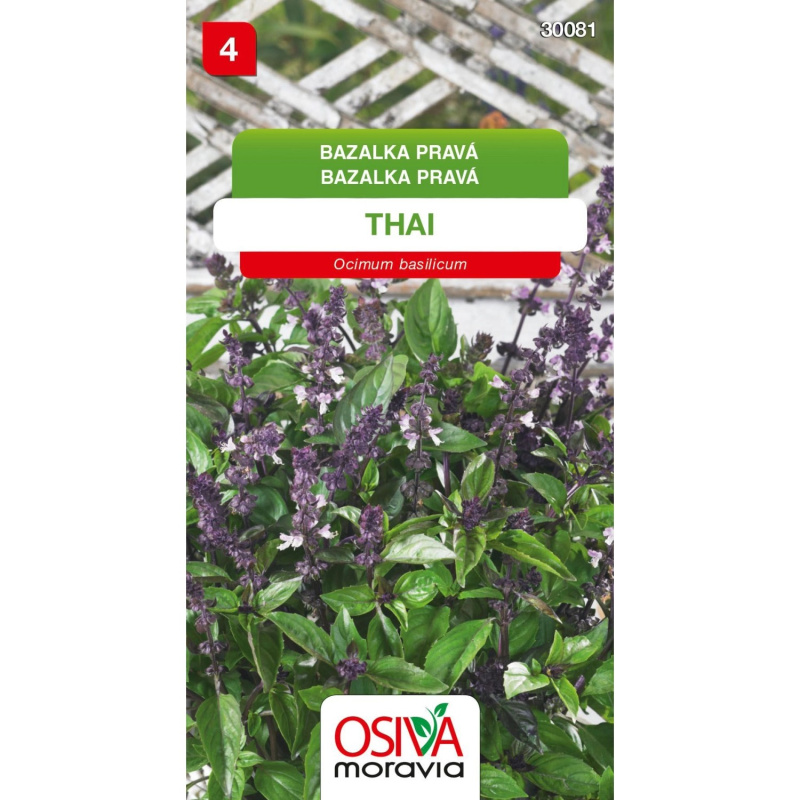 Semínka Bazalka pravá Thai (Ocimum basilicum)