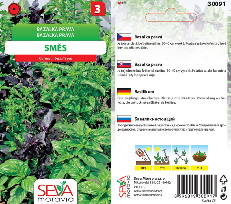 Bazalka Pravá - směs odrůd (Ocimum basilicum)