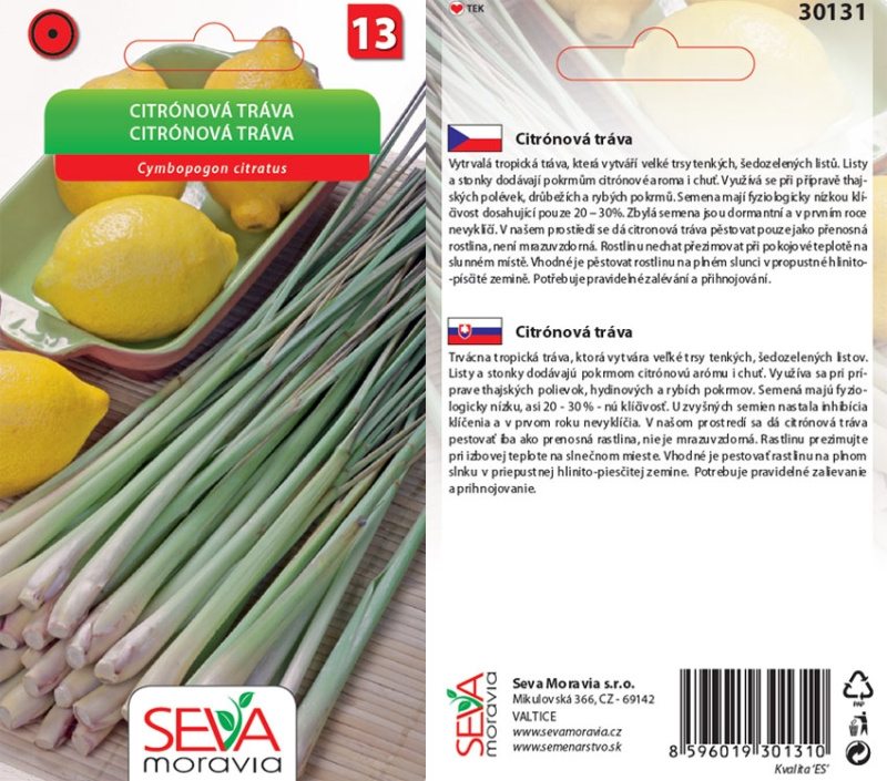 Semínka Citrónová tráva (Cymbopogon citratus)