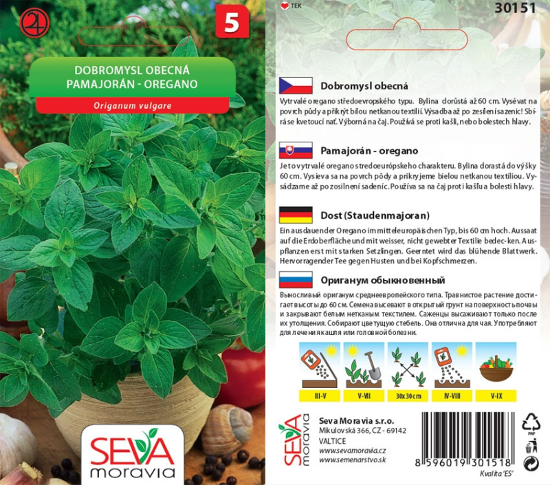 Semínka Dobromysl obecná (Origanum vulgare)