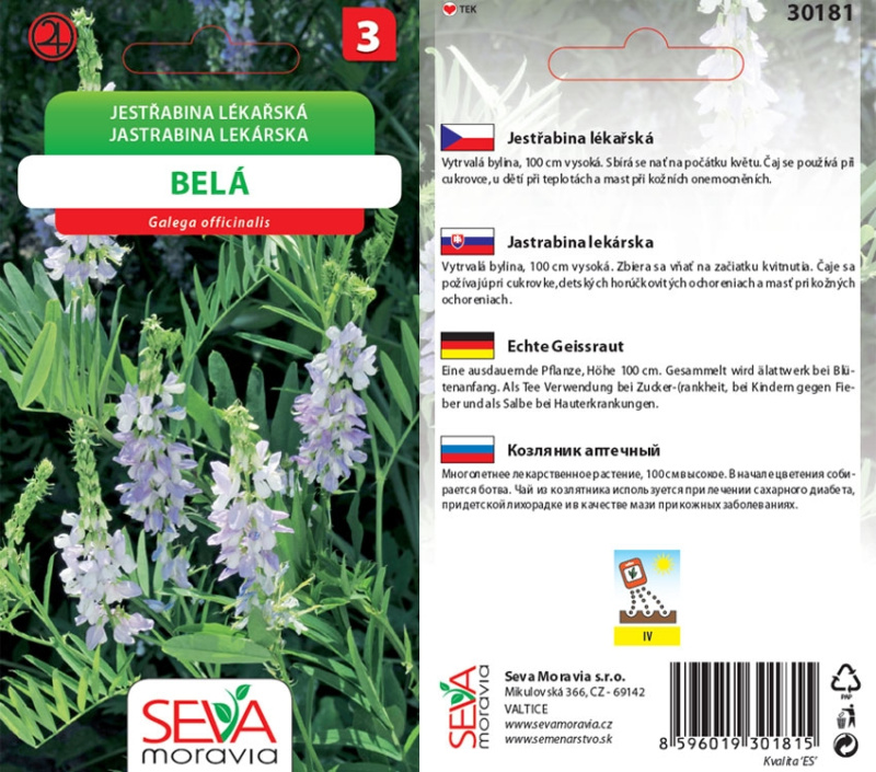 Jestřabina Lékařská (Galega officinalis)