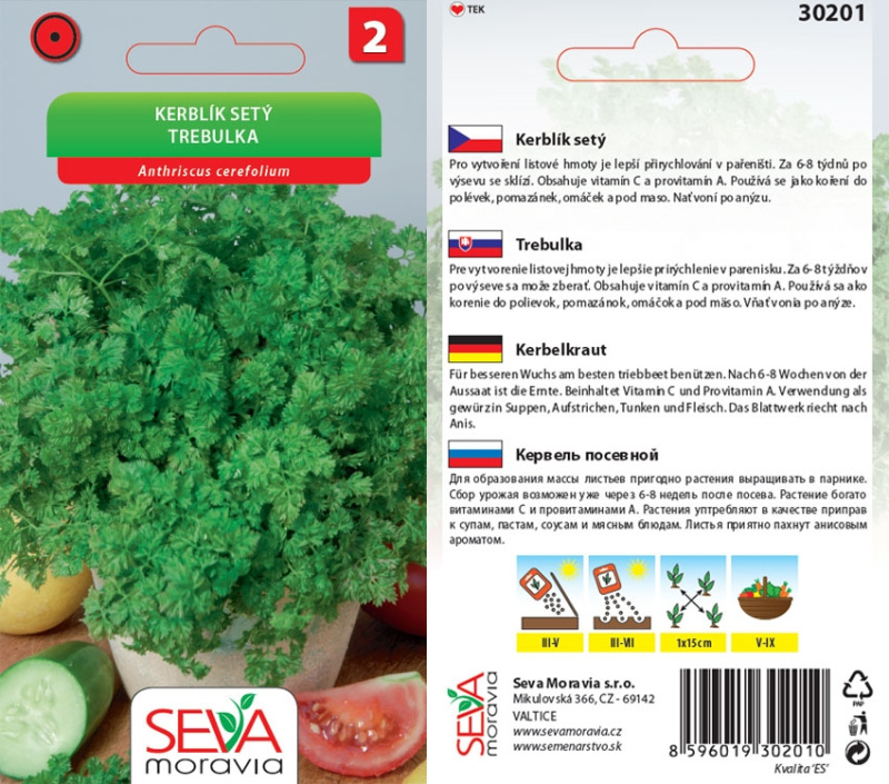 Semínka Kerblík setý (Anthriscus cerefolium)