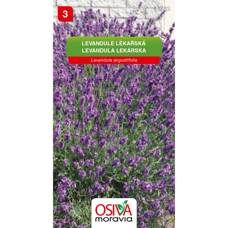Semínka Levandule lékařská (Levandula angustifolia)