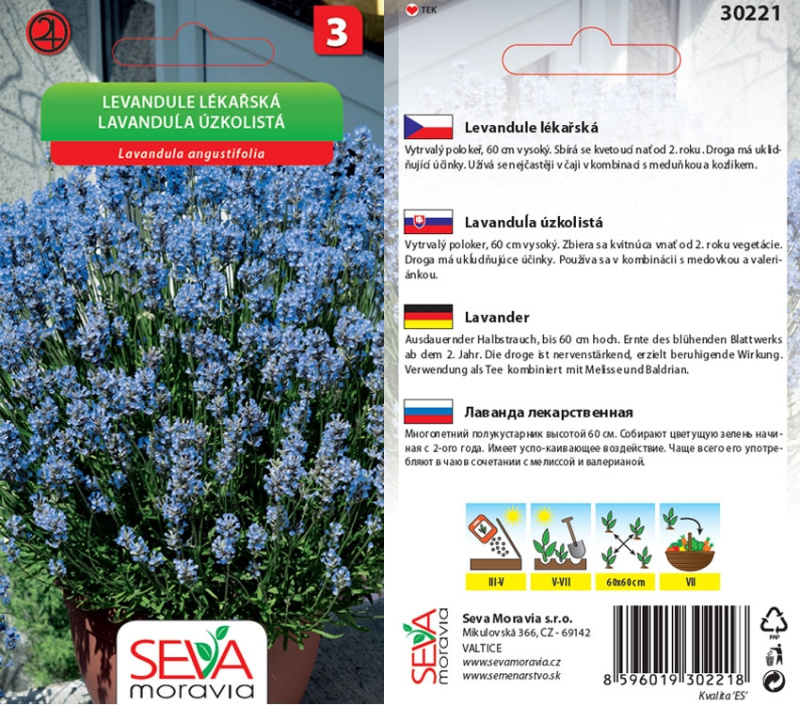 Semínka Levandule lékařská (Levandula angustifolia)
