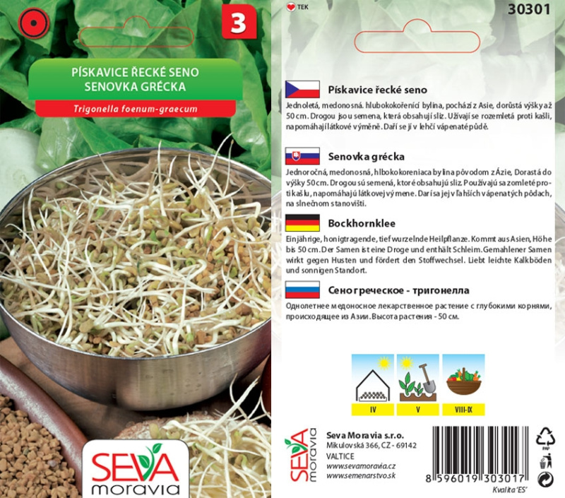 Semínka Libeček lékařský (Levisticum officinale)