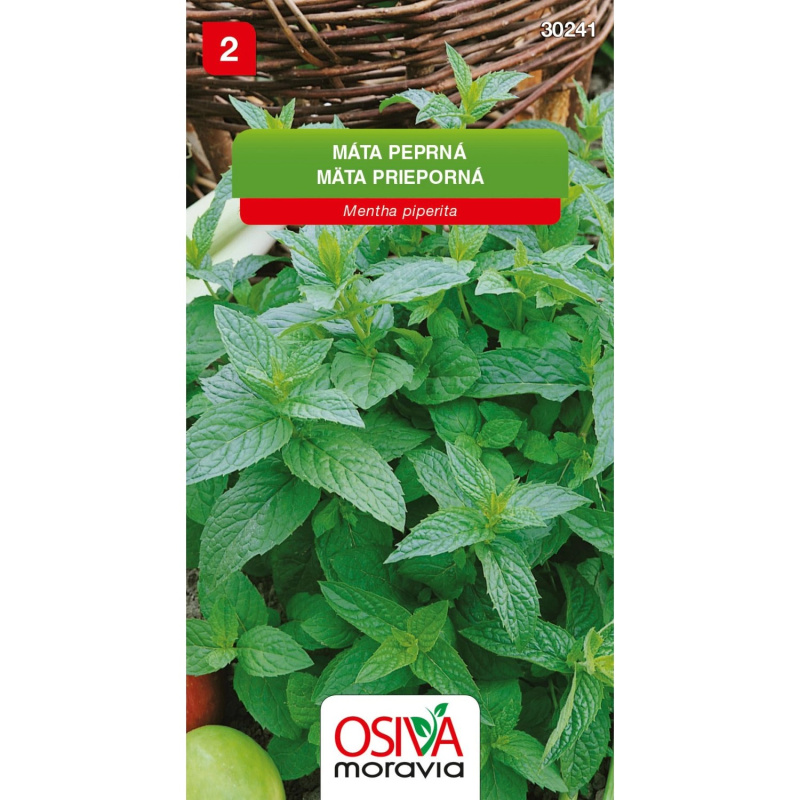 Semínka Máta peprná (Mentha piperita)
