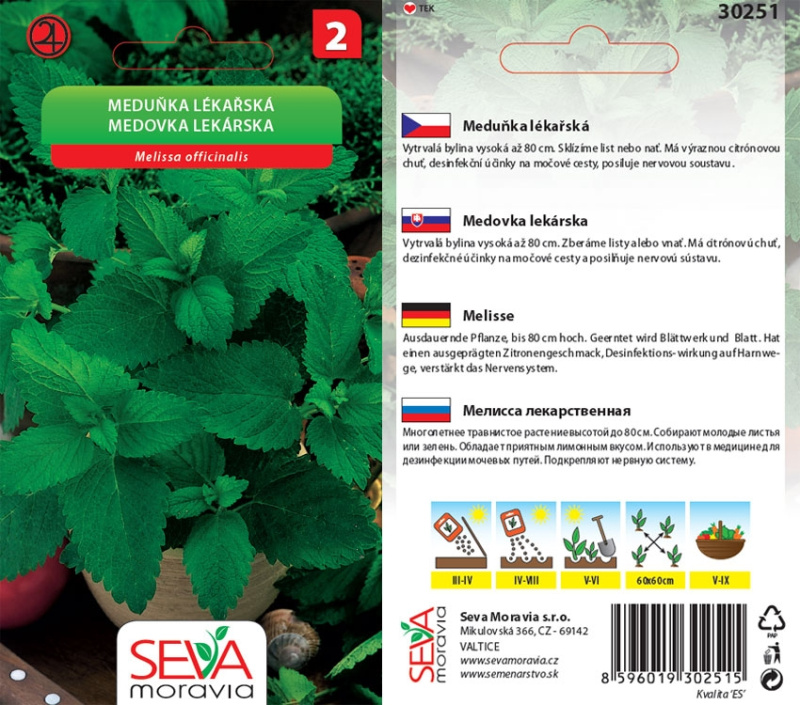 Osiva Moravia Semínka Meduňka lékařská