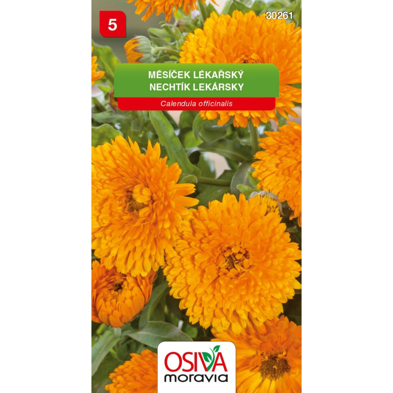 Semínka Měsíček lékařský (Calendula officinalis)