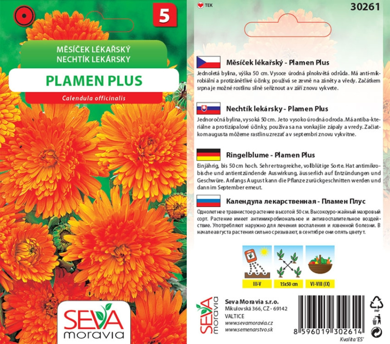 Semínka Měsíček lékařský (Calendula officinalis)