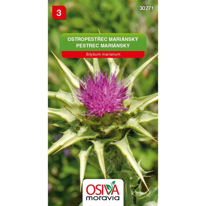 Semínka Ostropestřec mariánský (Silybum marianum)