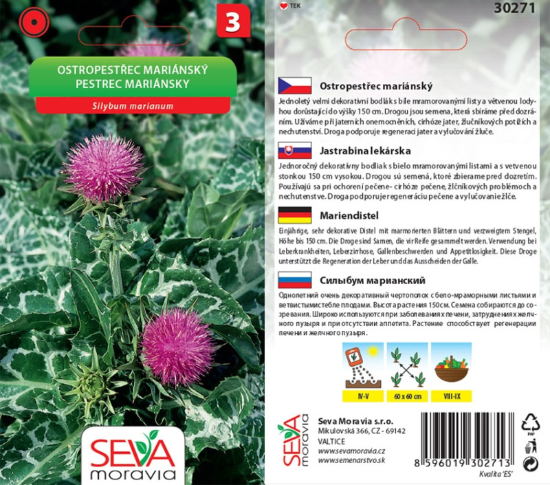 Semínka Ostropestřec mariánský (Silybum marianum)