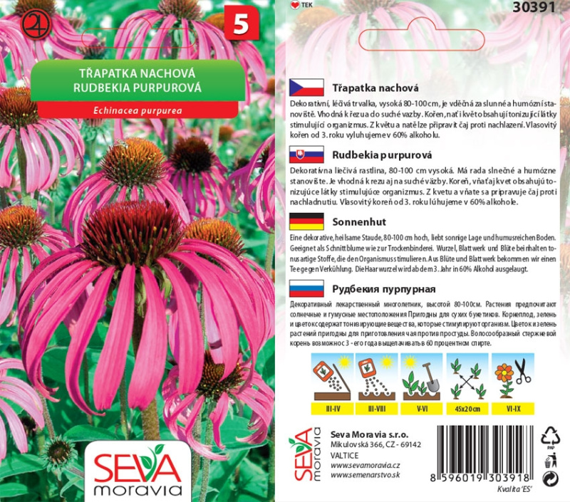 Semínka Třapatka nachová (Echinacea purpurea)