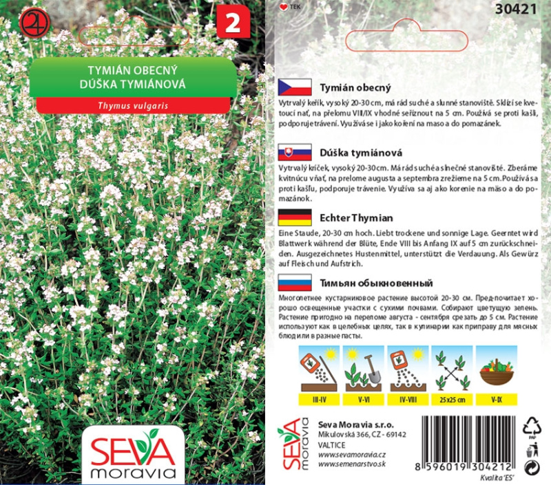 Semínka Tymián obecný (Thymus vulgaris)