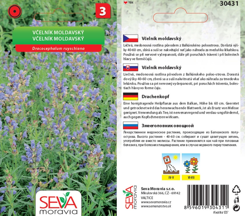 Semienka Včelník moldavský