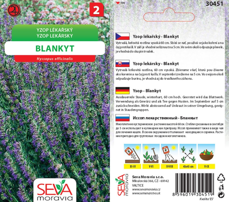 Semínka Yzop lékařský (Hyssopus officinalis)