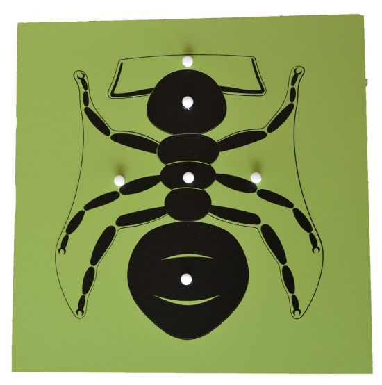 Puzzle - mravenec Montessori