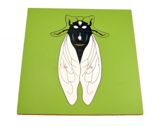 Puzzle - moucha Montessori