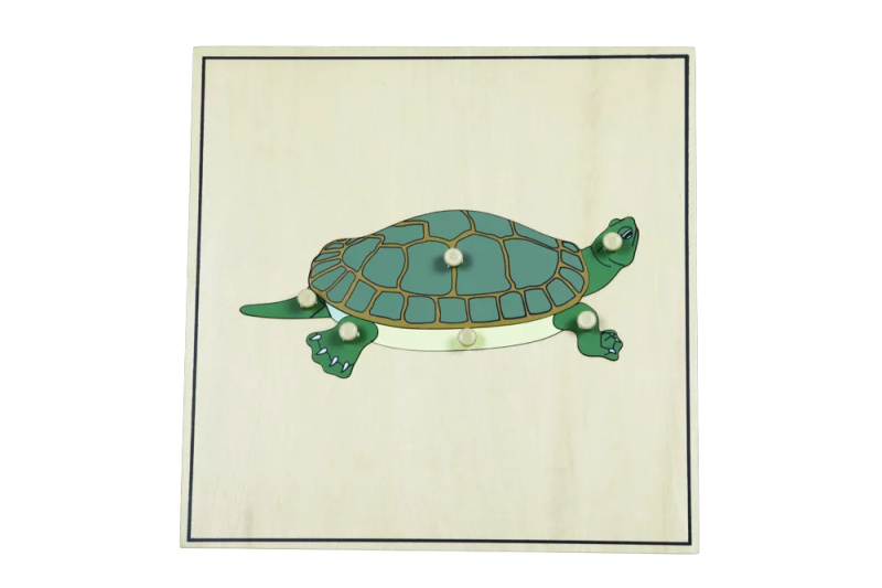 Puzzle s kostrou - želva Montessori