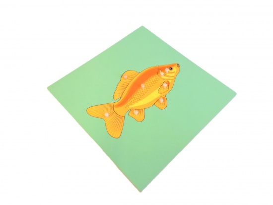 Puzzle s kostrou - ryba Montessori