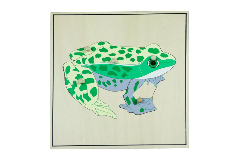 Puzzle s kostrou - žába Montessori