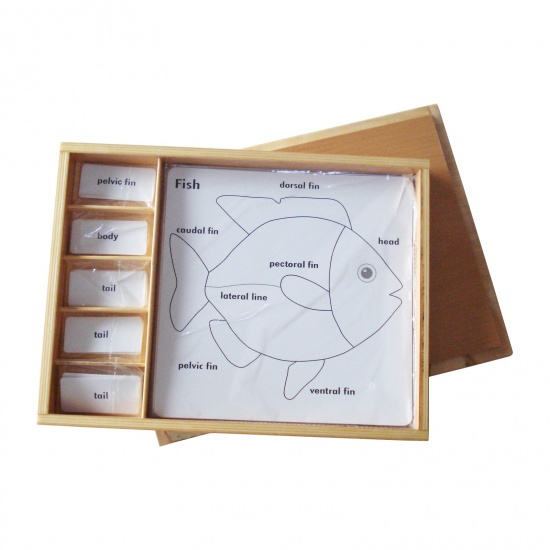 Sada aktivit k zoologickým puzzle (popisky v ANJ) Montessori
