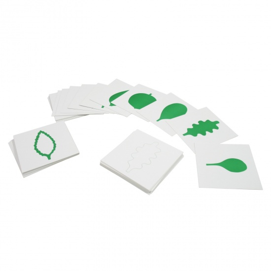 Karty - tvary listů Montessori