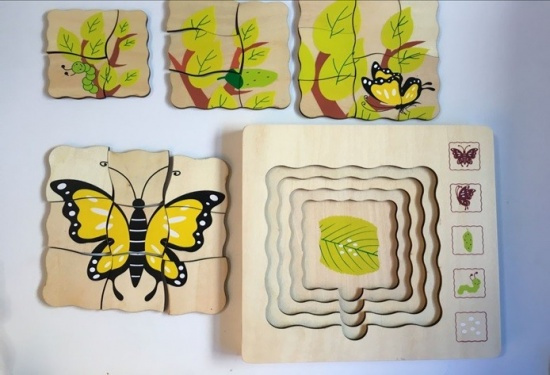 Životní cyklus motýla Montessori