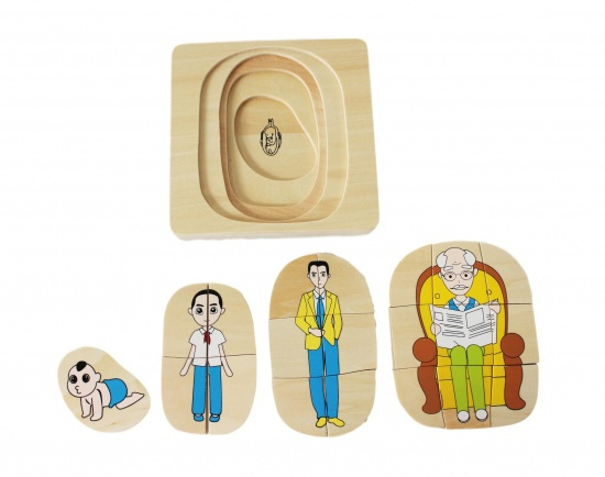 Životní vývoj muže Montessori