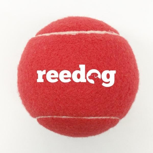 Reedog tenisový míček pro psa malý