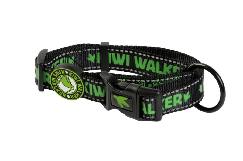 Obojek nylon 32-45/2cm zelená Kiwi