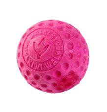 Hračka pes BALL MINI plov. z TPR pěny KW zelená
