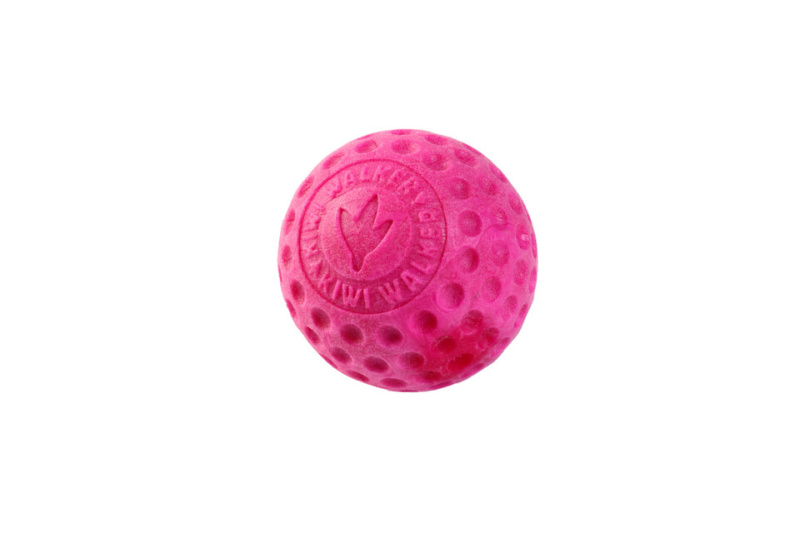 Hračka pes BALL MINI plov. z TPR pěny KW růžová