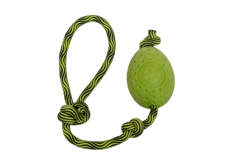 Hračka pes EGG MAXI plov. z TPR zelená Kiwi