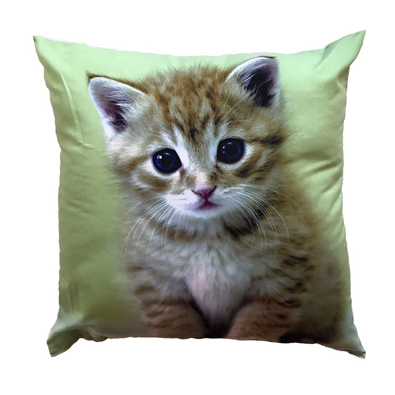 Dadka Fotopolštářek Kotě na zeleném Varianta: Fotopolštářek Kotě na zeleném 40x40 cm