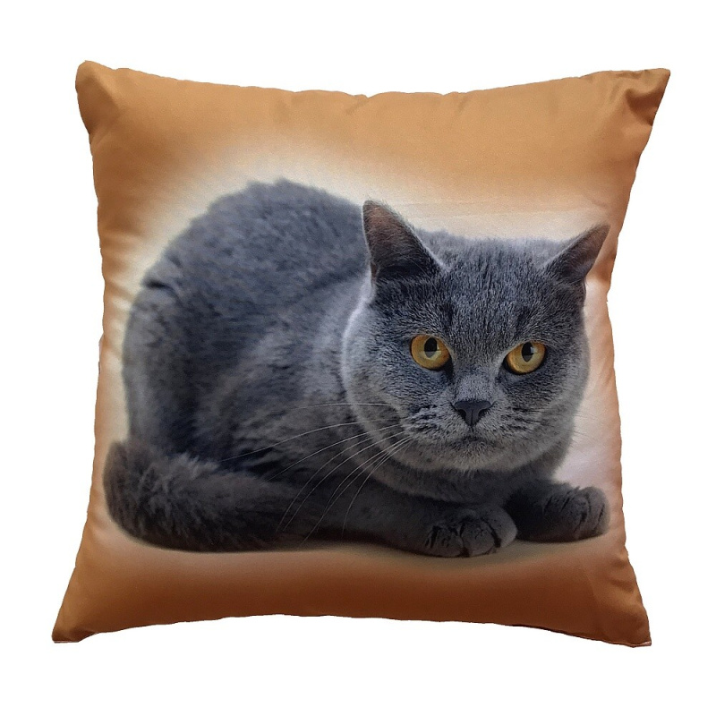 Dadka Fotopolštářek Kočka Varianta: Fotopolštářek Kočka 40x40 cm