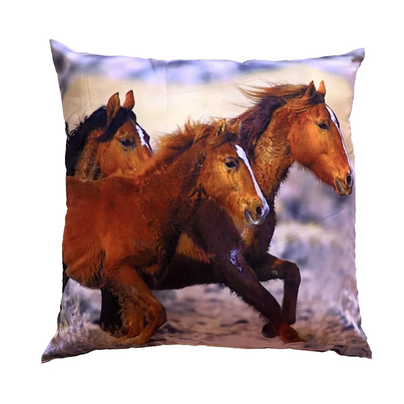 Dadka Fotopolštářek Tři koně Varianta: Fotopolštářek Tři koně 40x40 cm
