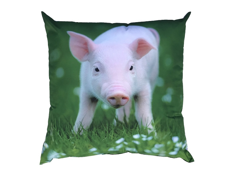 Dadka Fotopolštářek Prasátko Varianta: Fotopolštářek Prasátko 40x40 cm