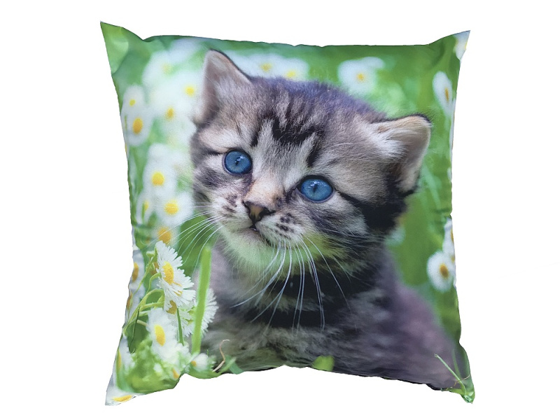 Dadka Fotopolštářek Kotě na louce Varianta: Fotopolštářek Kotě na louce 40x40 cm