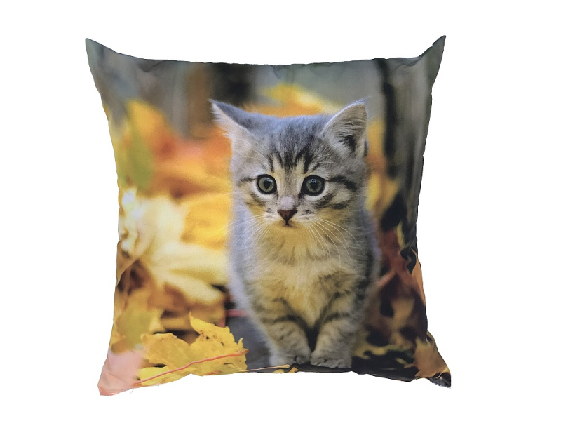 Dadka Fotopolštářek Kotě s listím Varianta: Fotopolštářek Kotě s listím 40x40 cm
