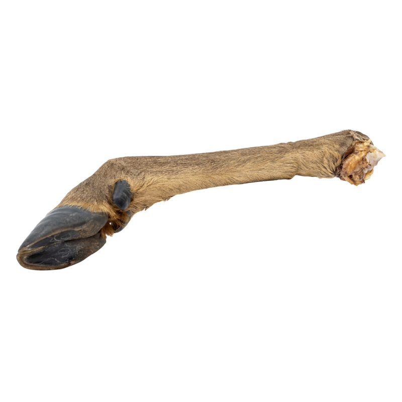 Jelení noha s kožešinou 1ks/43-49cm