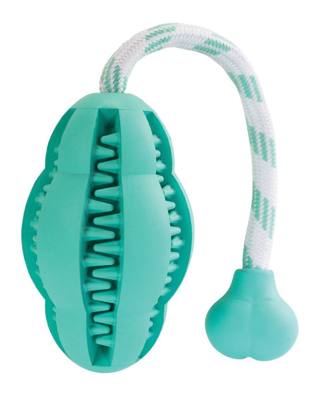 Dentální péče mátový Hopping na laně KIDDOG 27 cm 