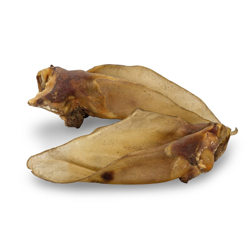 KIDDOG 100 % Natural Snack, hovězí ucho - Jumbo XXL 1ks/20-28cm