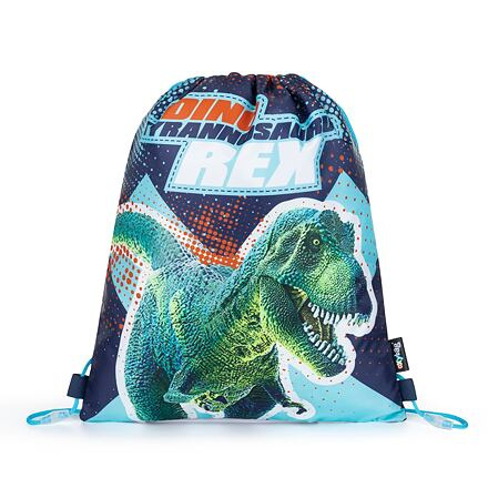 Karton P+P Premium Dinosaurus